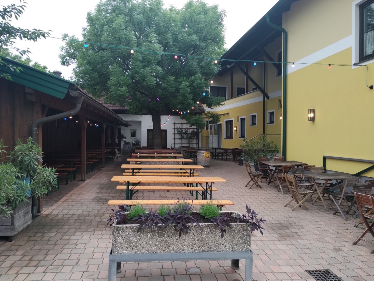 Weinbau Riegler-Dorner in Großau – Weinberge und Buschenschank